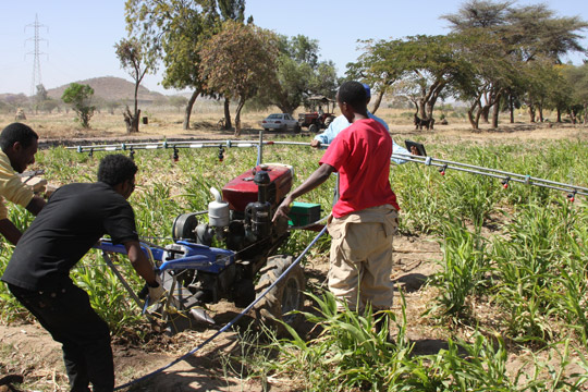 New MAGGROW spraying machines being tested