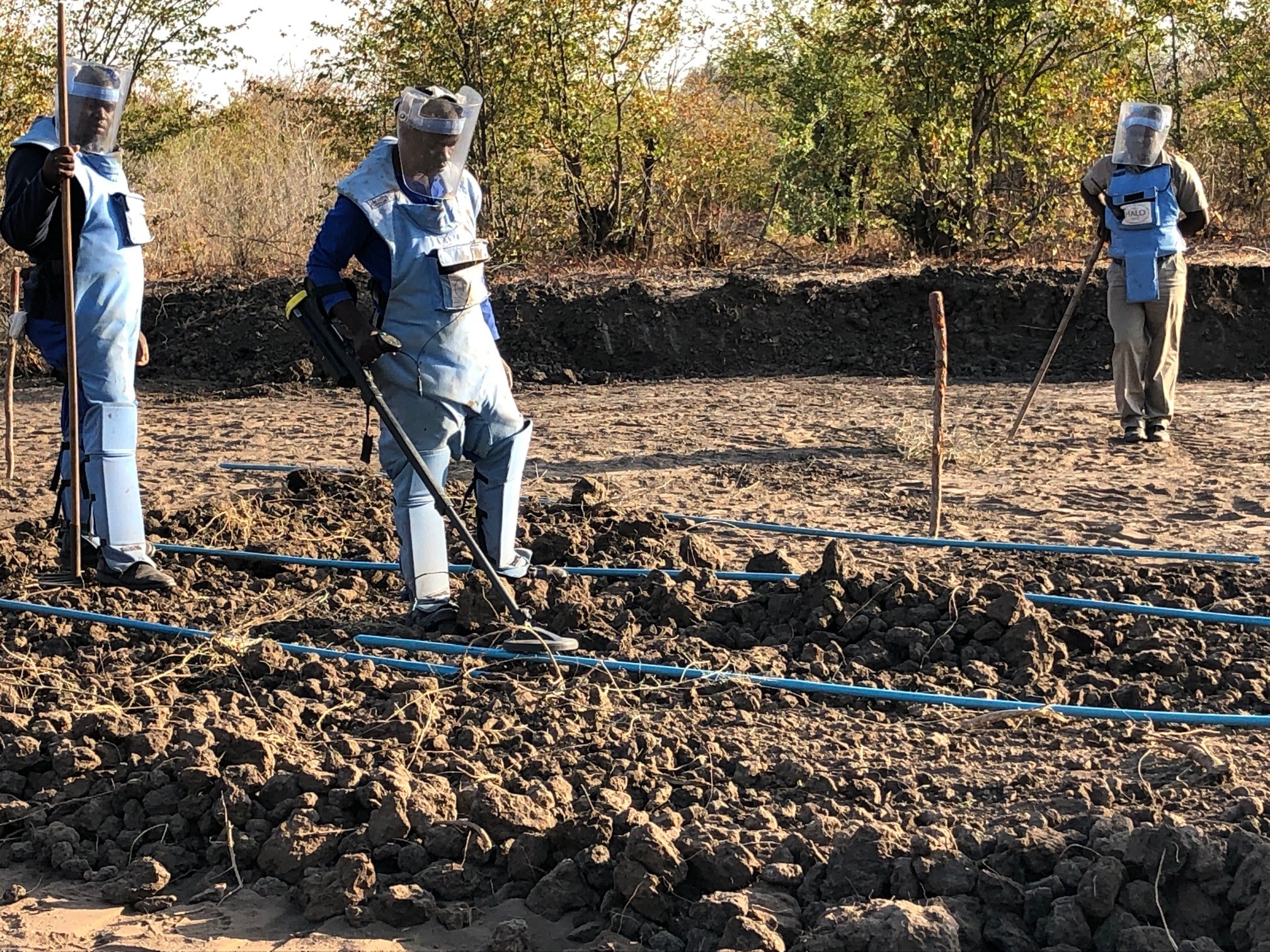 HALO mine clearance team carrying out mechanical mine clearance in Zimbabwe